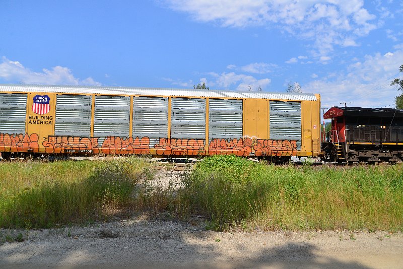 DSC_0482.JPG