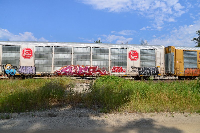 DSC_0483.JPG
