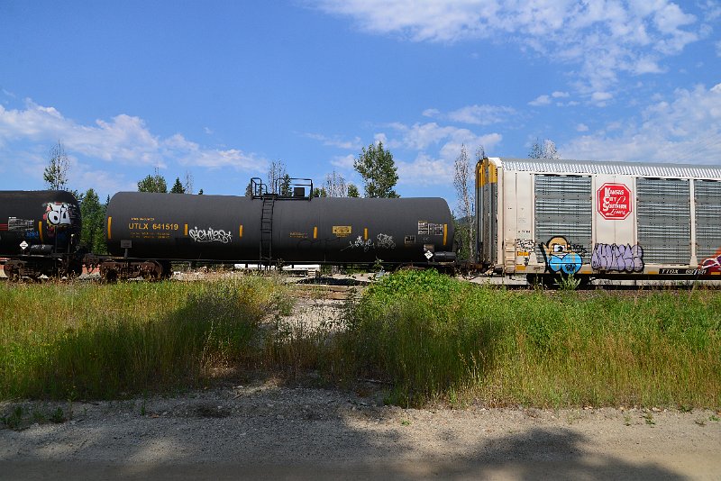 DSC_0484.JPG