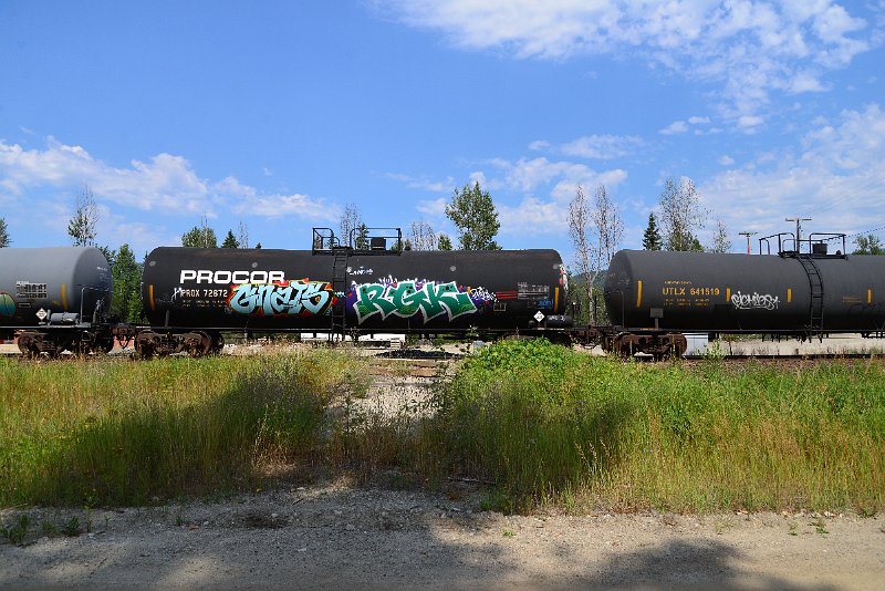 DSC_0485.JPG