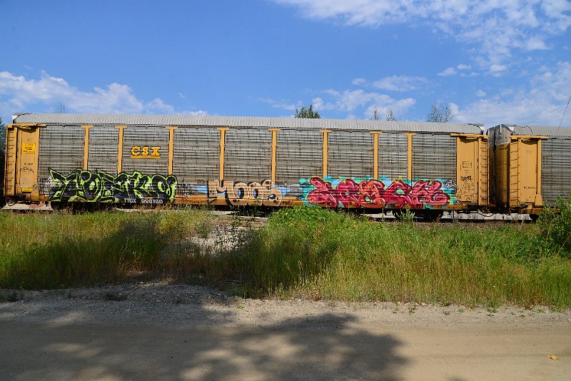 DSC_0494.JPG