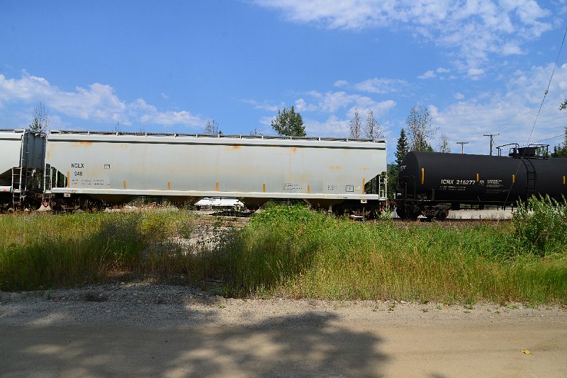 DSC_0499.JPG