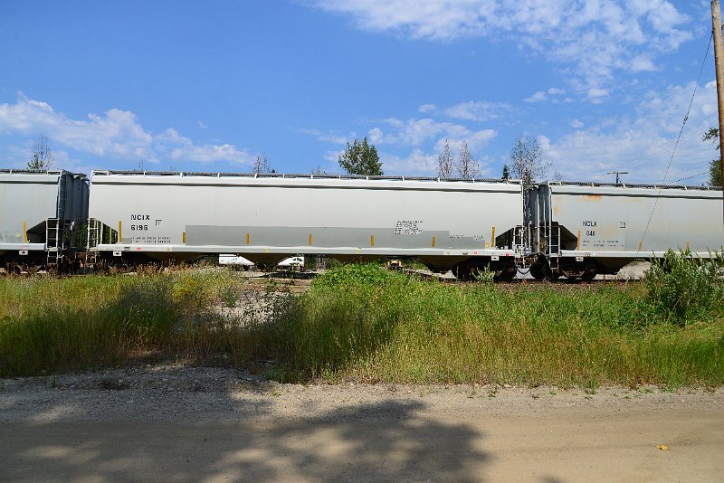 DSC_0500.JPG