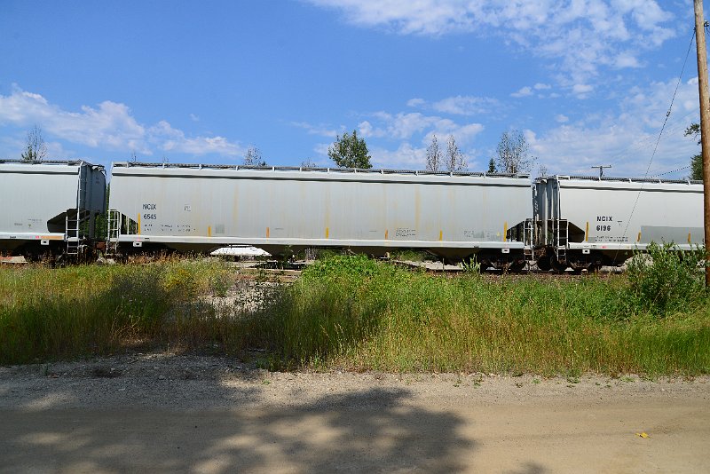 DSC_0501.JPG