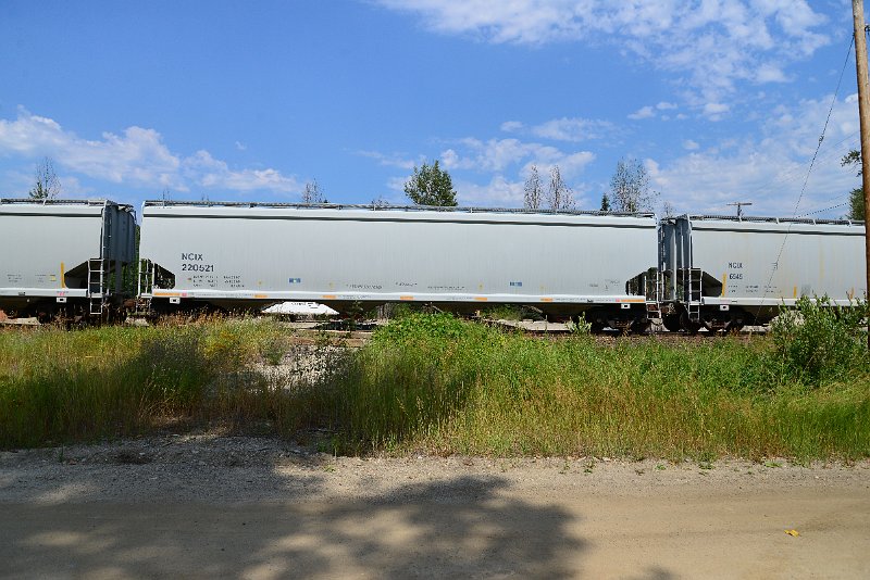 DSC_0502.JPG