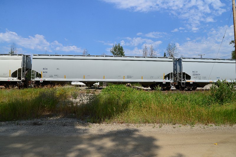 DSC_0503.JPG