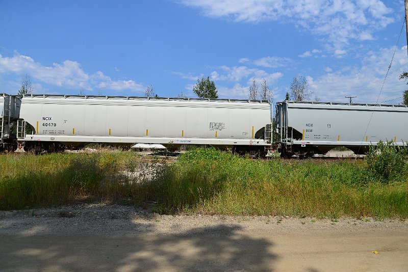 DSC_0504.JPG