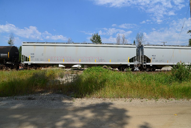 DSC_0508.JPG