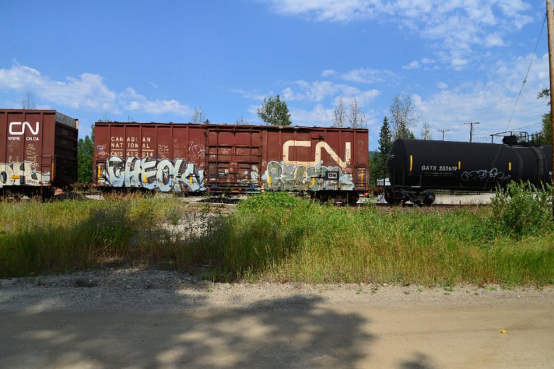 DSC_0513.JPG