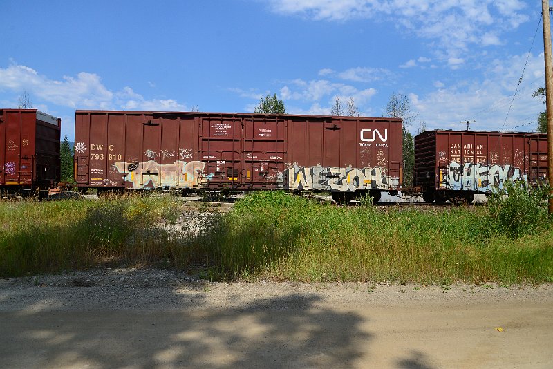 DSC_0514.JPG