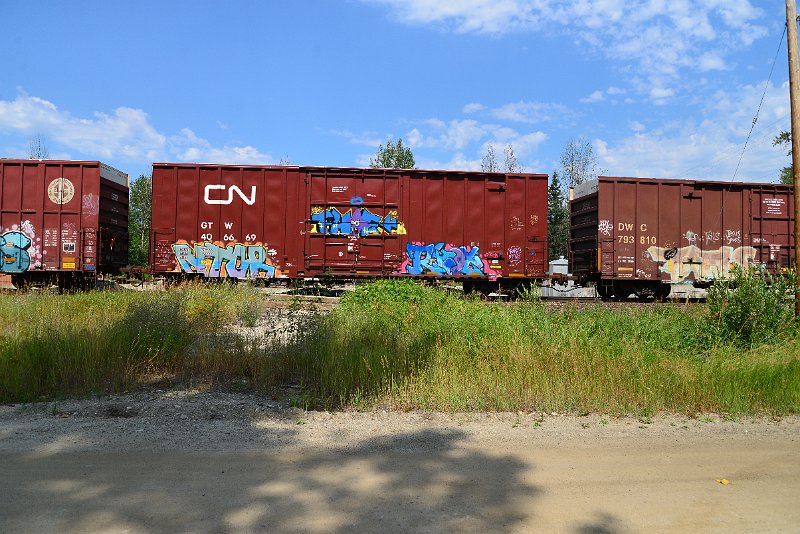 DSC_0515.JPG