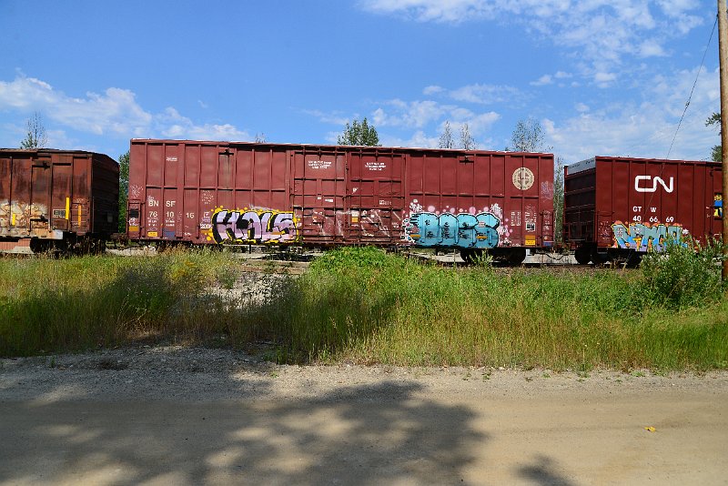 DSC_0516.JPG