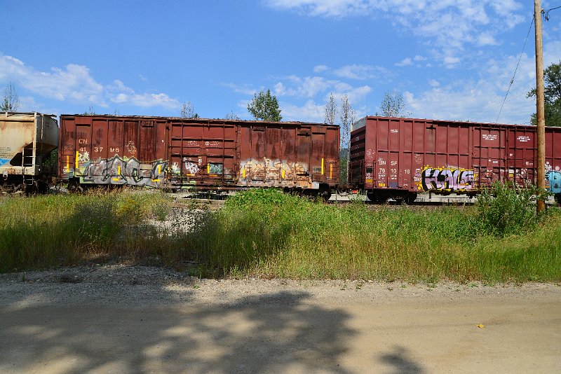 DSC_0517.JPG