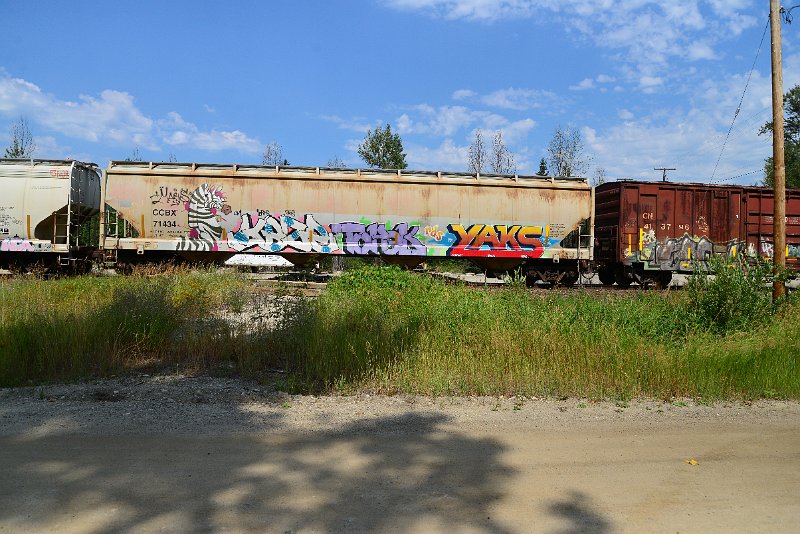 DSC_0518.JPG