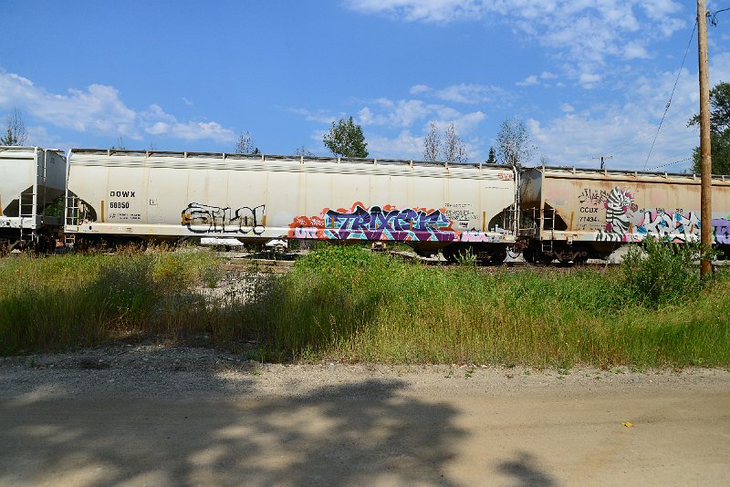 DSC_0519.JPG