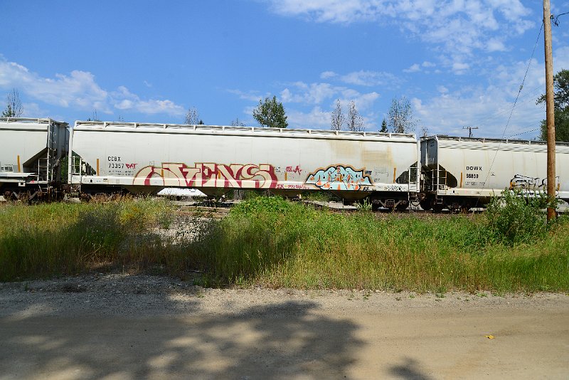 DSC_0520.JPG