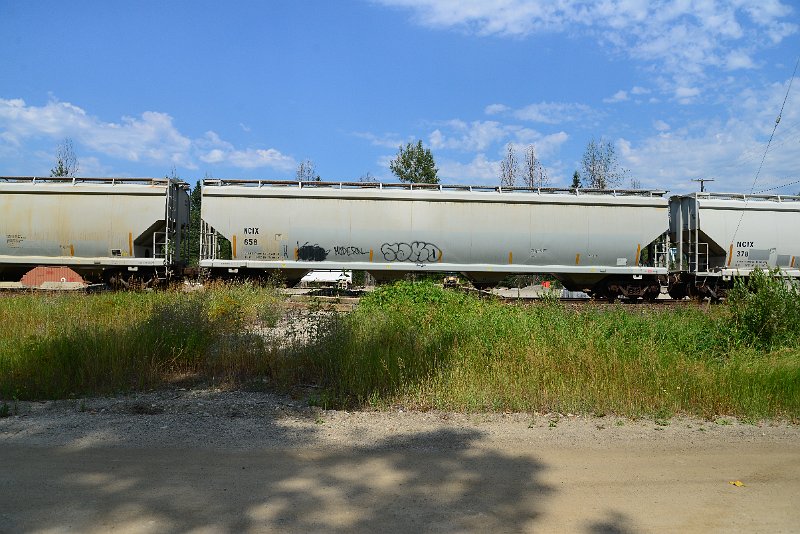 DSC_0522.JPG