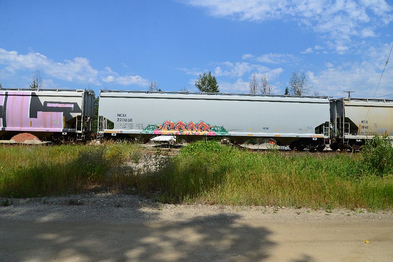 DSC_0524.JPG