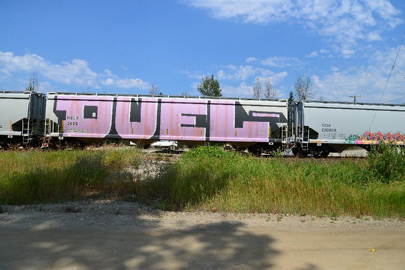 DSC_0525.JPG