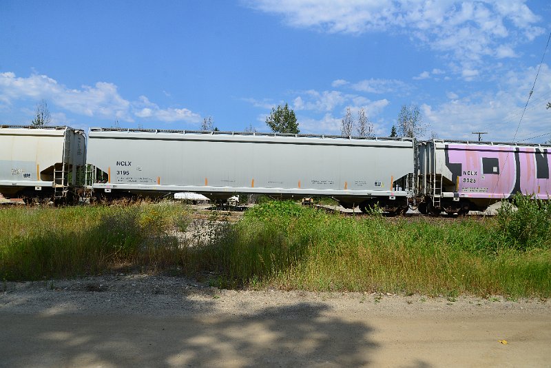 DSC_0526.JPG