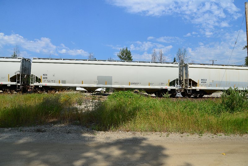DSC_0528.JPG