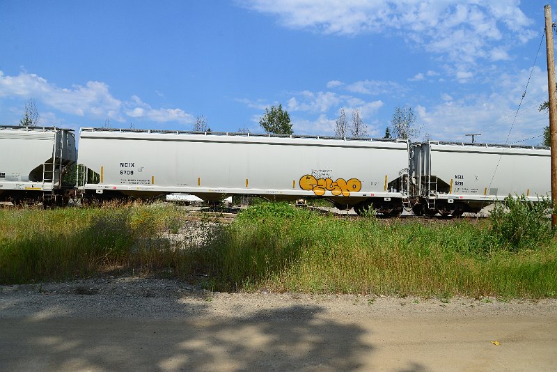 DSC_0529.JPG
