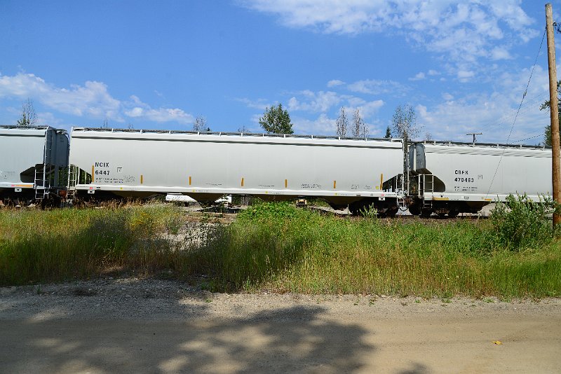 DSC_0531.JPG