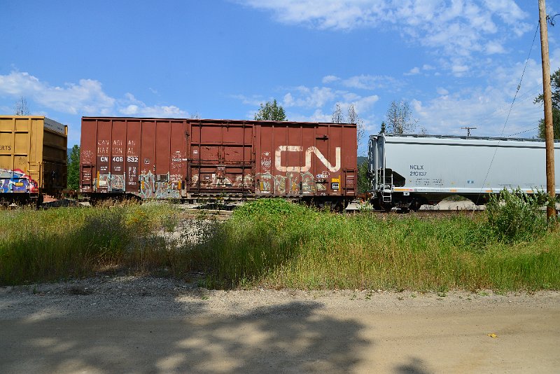 DSC_0533.JPG