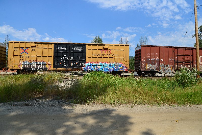DSC_0534.JPG