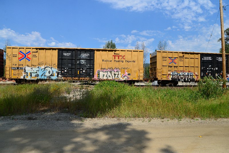 DSC_0535.JPG