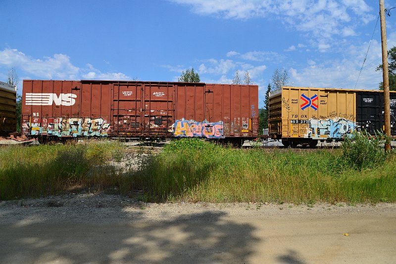 DSC_0536.JPG