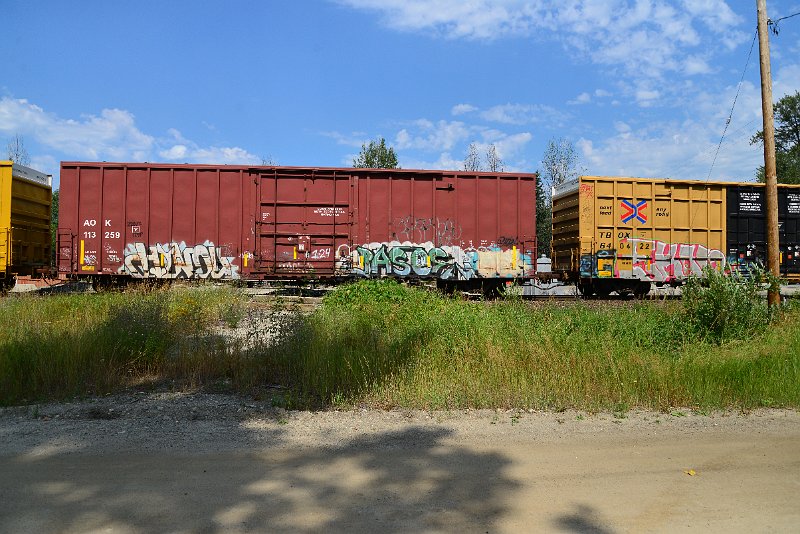 DSC_0538.JPG
