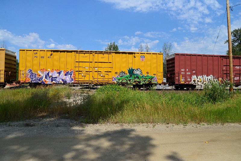 DSC_0539.JPG