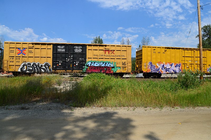 DSC_0540.JPG