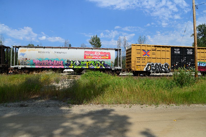 DSC_0541.JPG