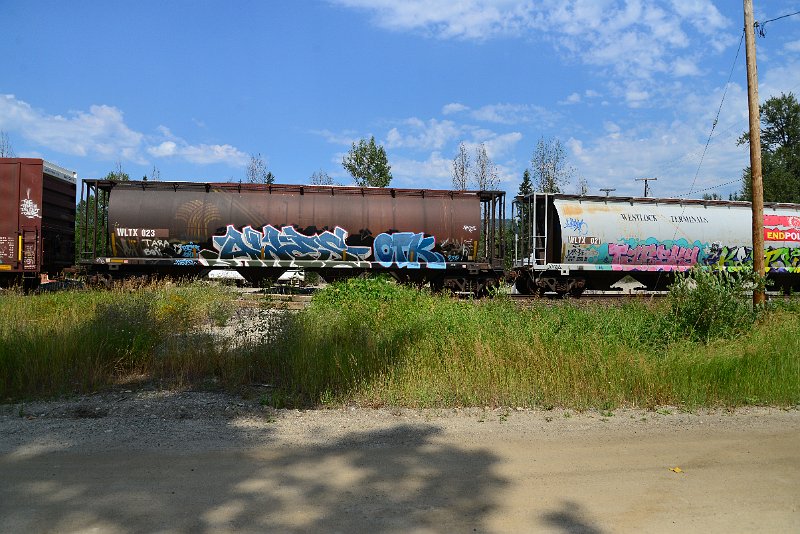 DSC_0542.JPG