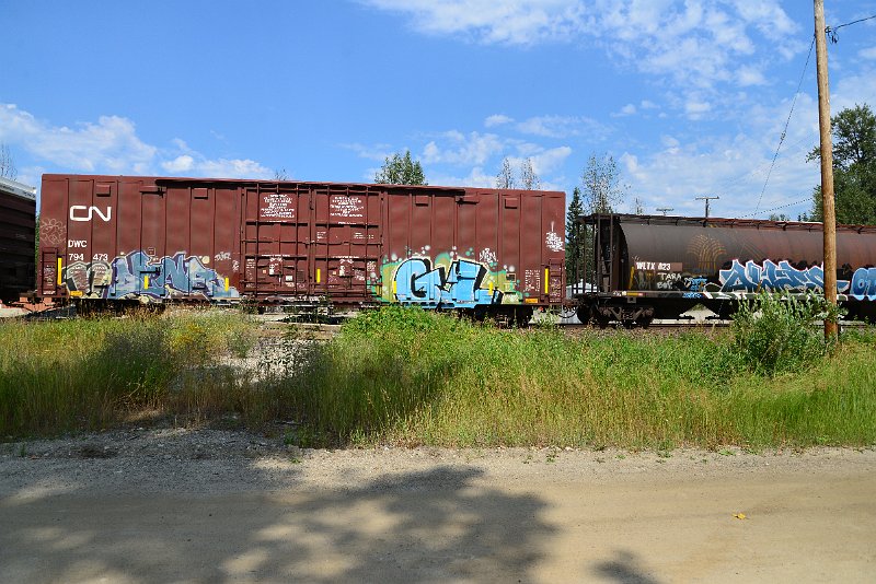 DSC_0543.JPG
