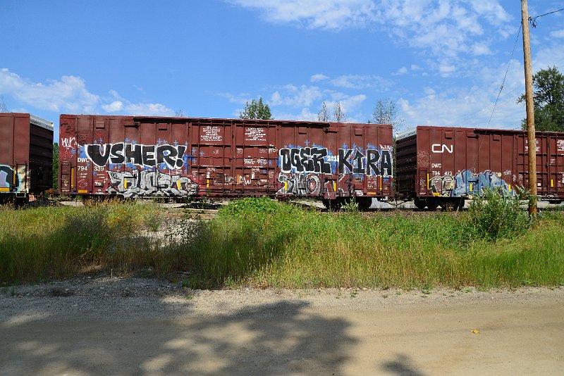 DSC_0544.JPG