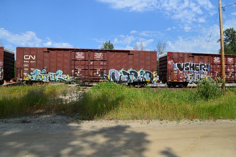 DSC_0545.JPG