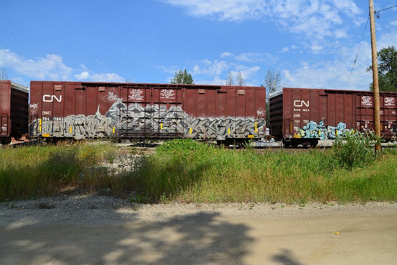 DSC_0546.JPG