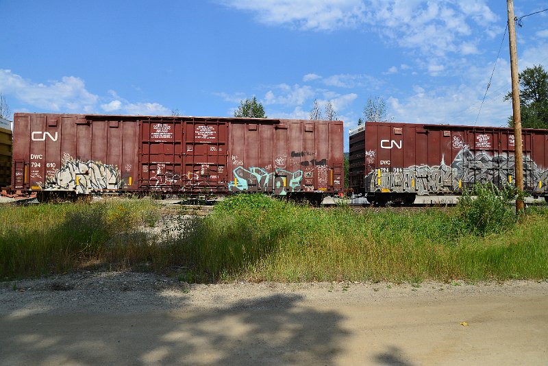 DSC_0547.JPG