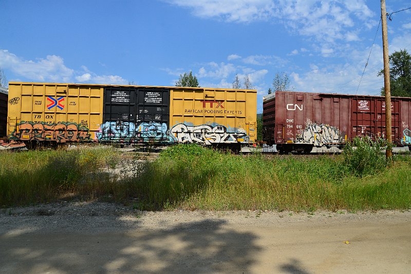 DSC_0548.JPG