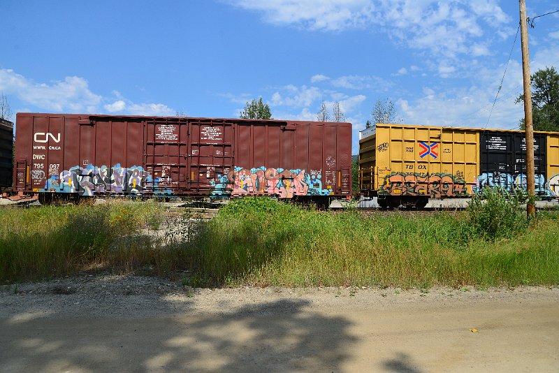 DSC_0549.JPG
