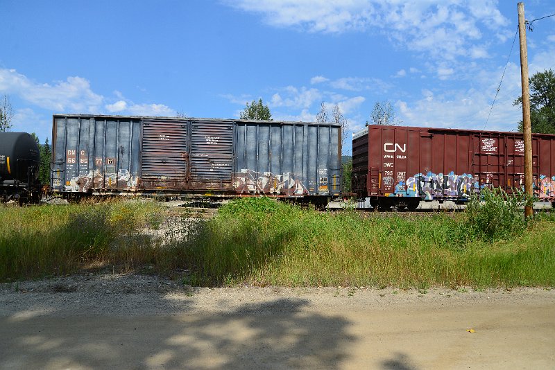 DSC_0550.JPG