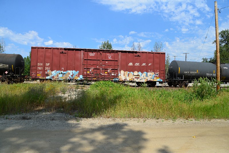 DSC_0559.JPG