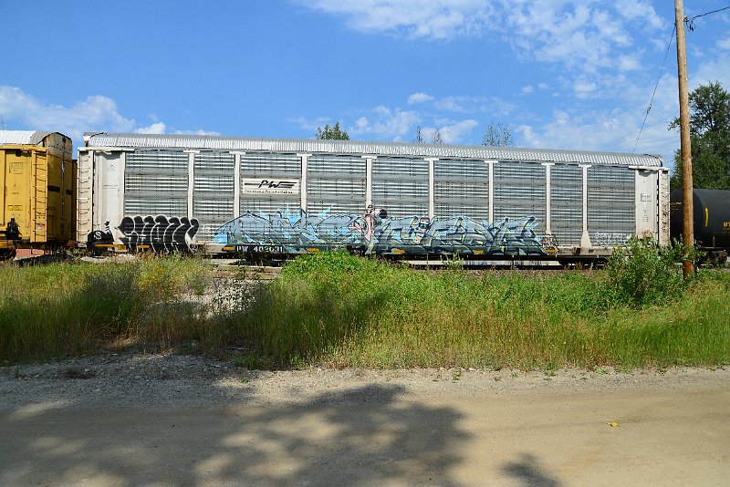 DSC_0575.JPG