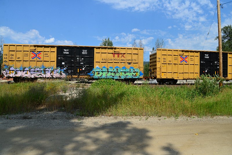 DSC_0581.JPG