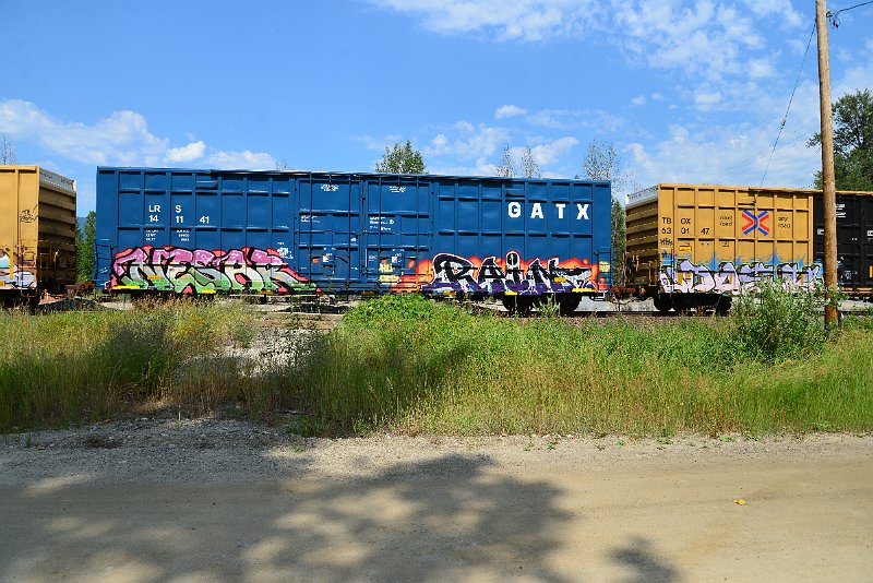 DSC_0582.JPG