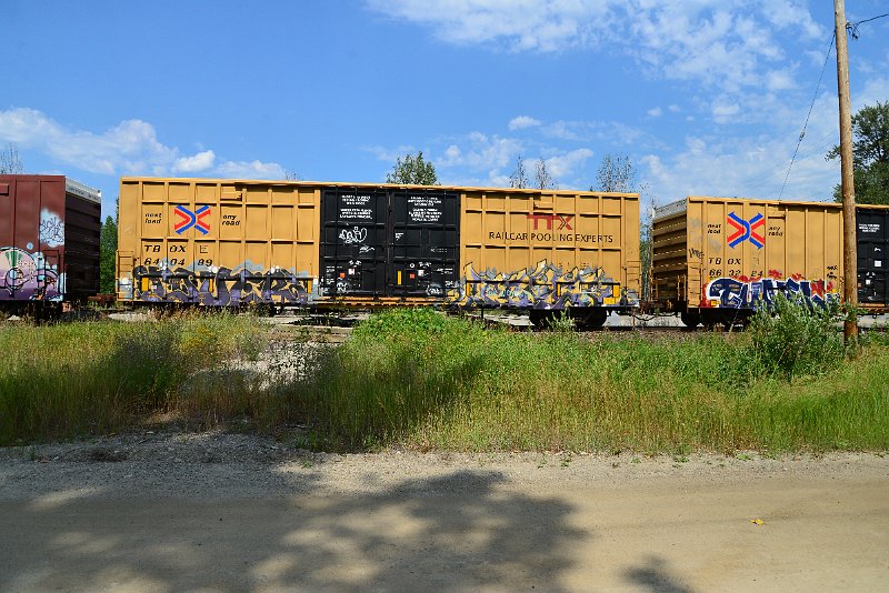DSC_0584.JPG