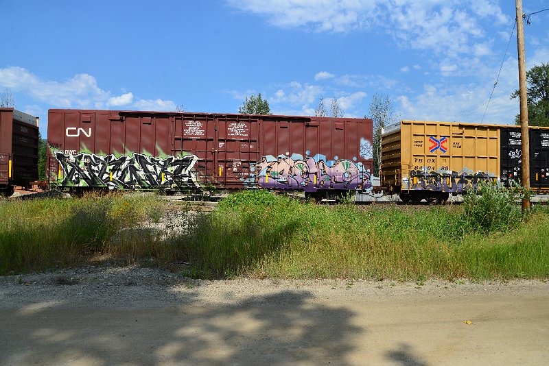 DSC_0585.JPG